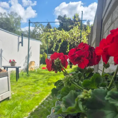Holiday home 1 Bedroom Beautiful In Boruja